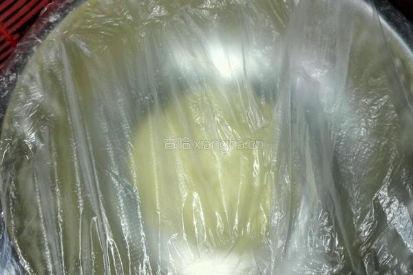 动物小饼干的做法图解6