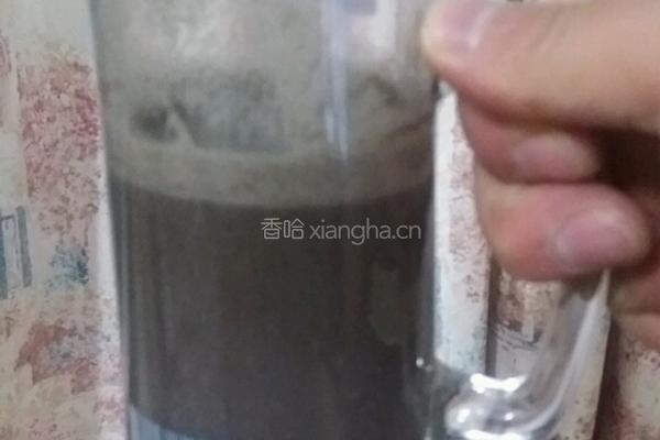 黑豆浆的做法图解4