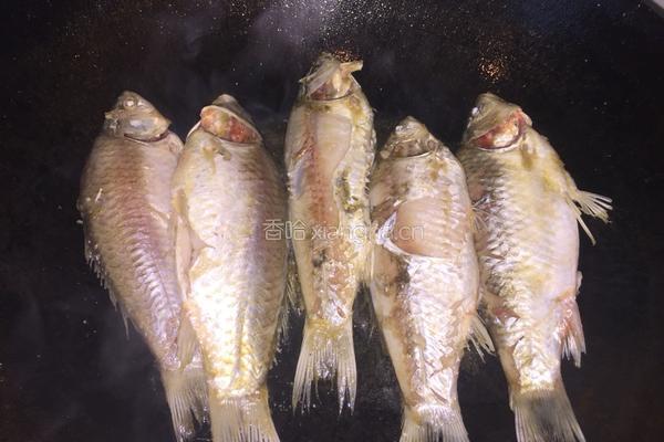 麻辣小鲫鱼炖豆腐的做法图解3