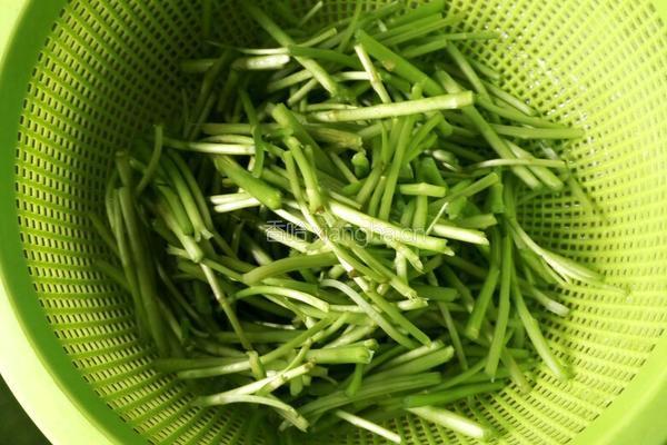 芦蒿炒香干的做法图解1