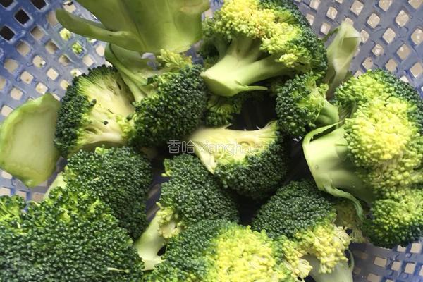 春天的黄金树的做法图解1