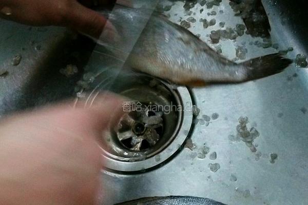 红烧黄花鱼的做法图解1