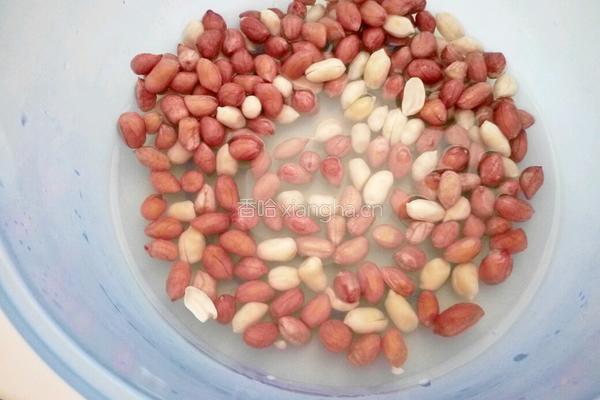 花生猪肚汤的做法图解2