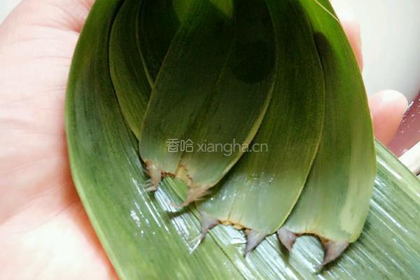红枣包粽的做法图解2