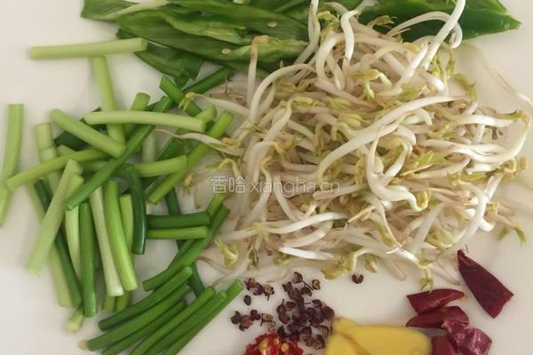 炒烙饼的做法图解3