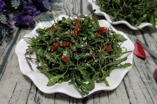 拌苦麻菜的做法图解7