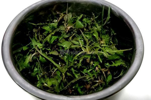 拌苦麻菜的做法图解4