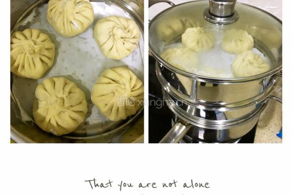 萝卜丝肉包的做法图解11