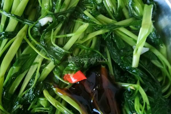 通心菜的做法图解4