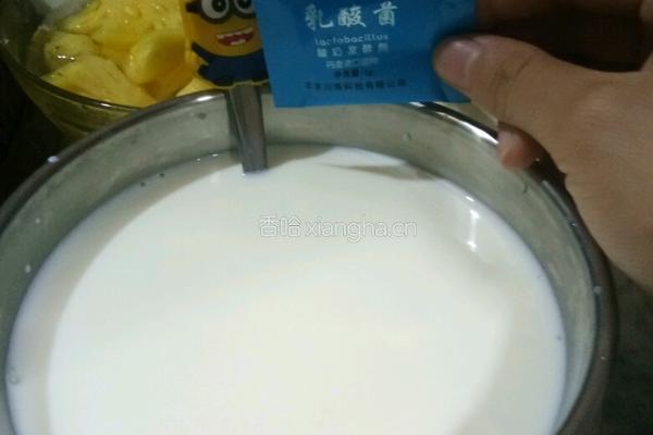 酸奶的做法图解2