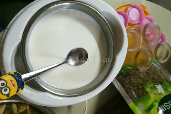 酸奶的做法图解4