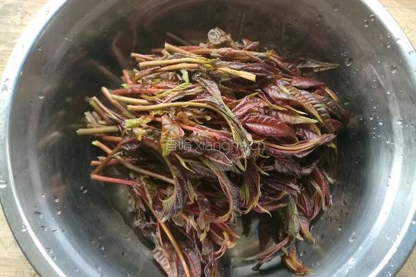 香椿炒蛋的做法图解2