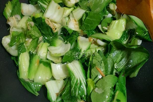 油菜炒虾皮的做法图解4