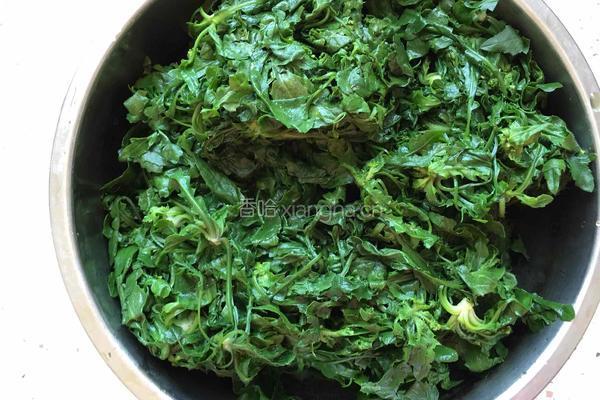 香菇荠菜饺子的做法图解3