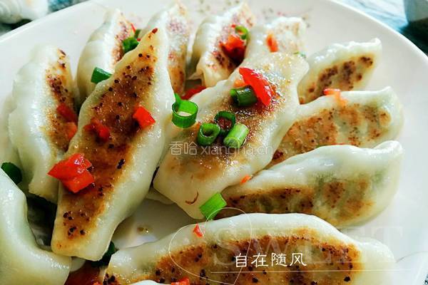 韭菜猪肉锅贴的做法图解9