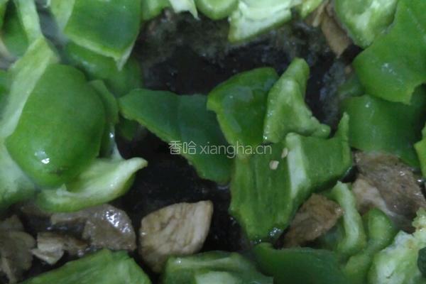 大辣椒炒肉片的做法图解7