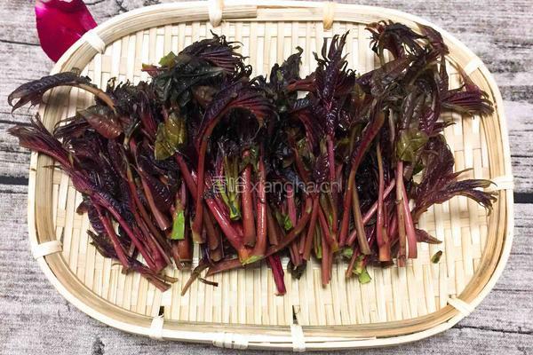 香椿头炒鸡蛋的做法图解1
