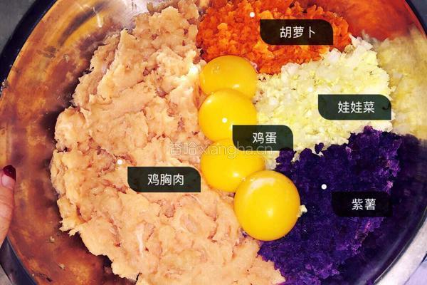雪纳瑞自制狗粮--鸡胸肉蔬菜丸子的做法图解3