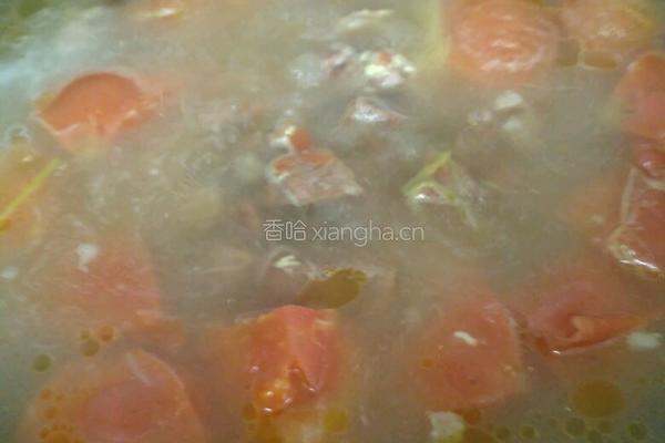 炖牛腩蕃茄汤（无油版）的做法图解12