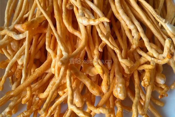 虫草肥牛菠菜汤的做法图解1