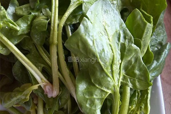 虫草肥牛菠菜汤的做法图解3