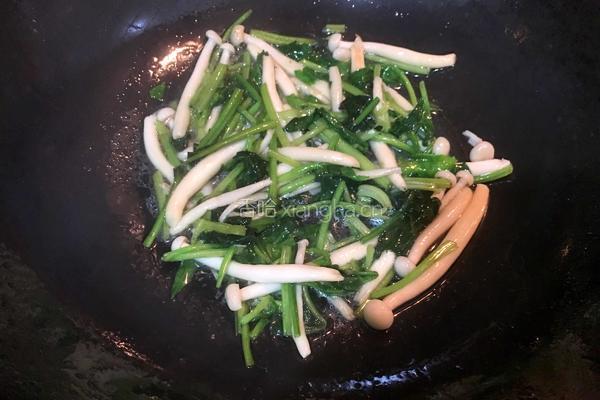 白玉菇炒菠菜的做法图解5