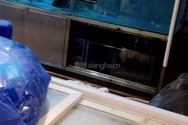 酱烧多宝鱼的做法图解1