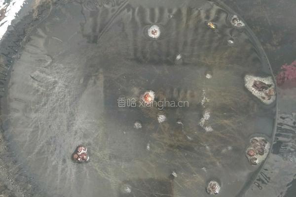 酱香猪肉大葱馅儿的做法图解3