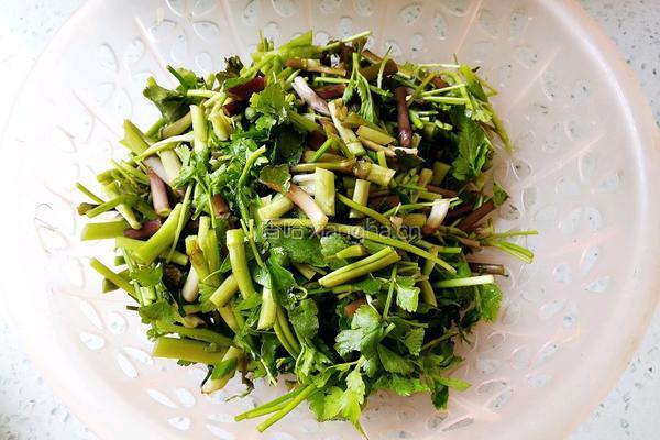野芹腊肉小炒的做法图解1
