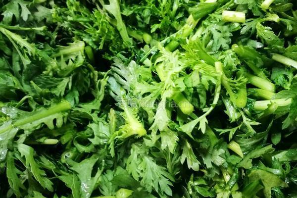 清炒茼蒿的做法图解4