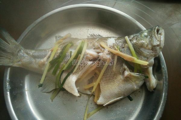 清蒸鲈鱼的做法图解6