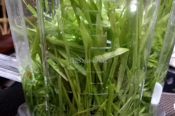 小麦草汁的做法图解1