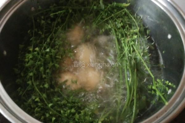 煮鸡蛋的做法图解4