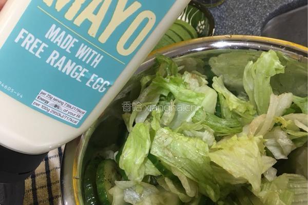 鸡肉沙拉的做法图解19
