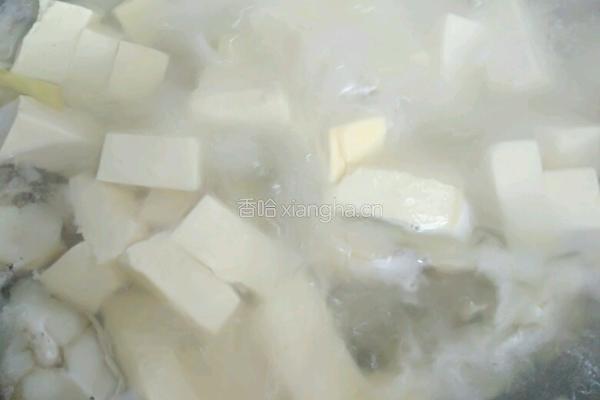 清炖鳕鱼豆腐汤的做法图解7