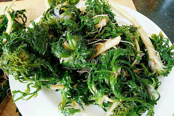 酥脆菜煎饼的做法图解3
