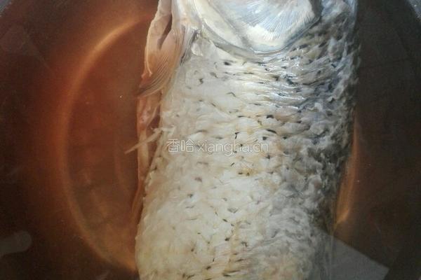 松鼠鲤鱼的做法图解1