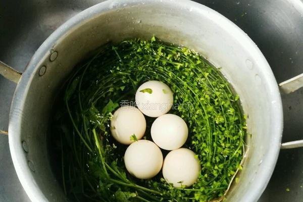 地菜花煮鸡蛋的做法图解4