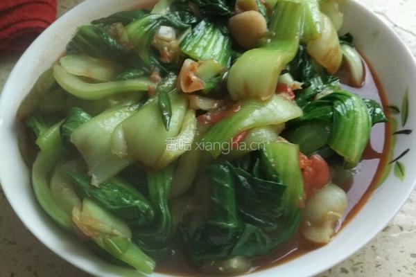 素炒油菜的做法图解11