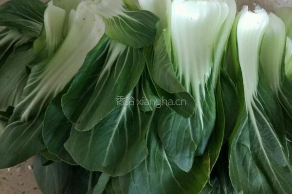 素炒油菜的做法图解1