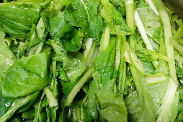 虾皮粉丝小白菜的做法图解1