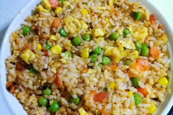 酸酸甜甜营养番茄芝士焗饭的做法图解7