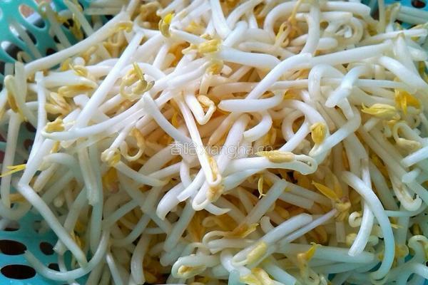 绿豆芽拌粉丝的做法图解1