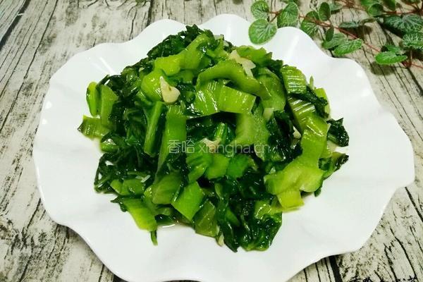 蒜蓉根达菜的做法图解8