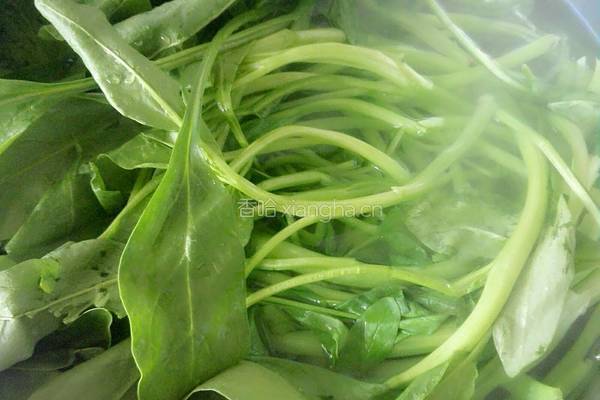 菠菜烩细粉的做法图解3