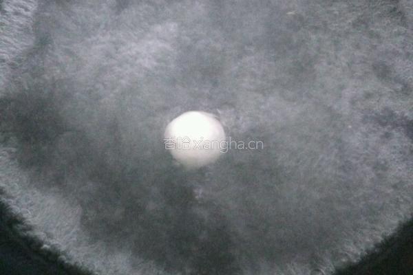 滚汤圆的做法图解4