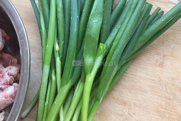 香葱猪肉包的做法图解3