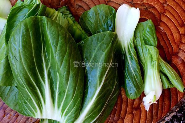 蘑菇炒青菜的做法图解3