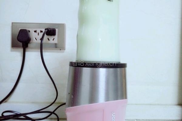 刮脂减肥苦瓜汁的做法图解8