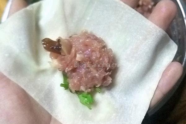 鲜云吞的做法图解13